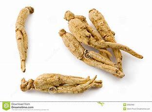 GRAINES GINSENG PANAX? 20 graines